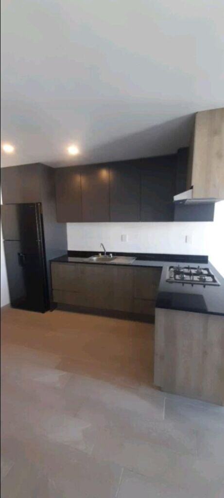 expertos-arauco